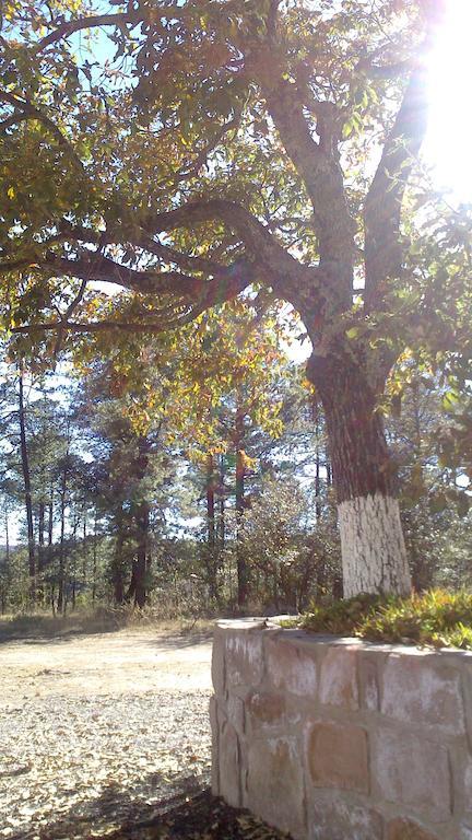 הוילה Refugio Cabanas Santa Isabel חדר תמונה